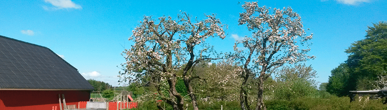 traefaeldning banner web